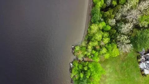 Aerial Drone Top Down Tracking Forwards Over Lake Shore Trees, Lac Megantic Stock Footage 267796042