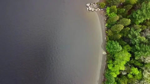 Aerial Drone Top Down Tracking Left Over Lake Shore Trees, Lac Megantic Stock Footage 267796044