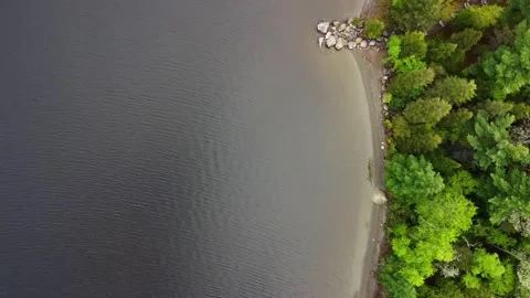 Aerial Drone Top Down Tracking Right Over Lake Shore Trees, Lac Megantic Stock Footage 267796046