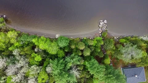 Aerial Drone Top Down Tracking Up Over Lake Shore Trees, Lac Megantic Stock Footage 267796047