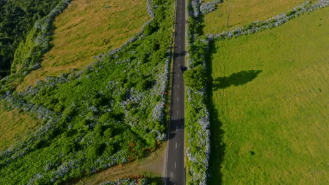 Aerial drone top-down tracking shot following a black car driving down a 库存影片 335247380