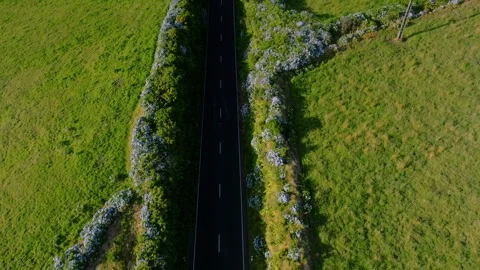 Aerial drone top-down tracking shot of a blue car driving down a straight 動画素材 335706036