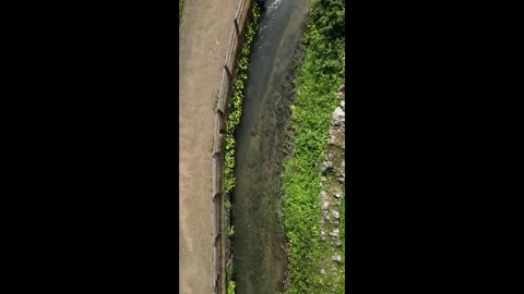 Aerial drone top down vertical slow motion stream flowing through lush flowered Stock Footage 268625065