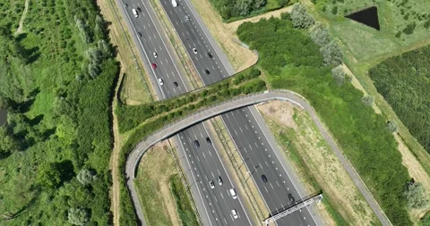 Aerial drone top down video of an ecoduct, an overpass for wildlife, and a Stock Footage 246598054