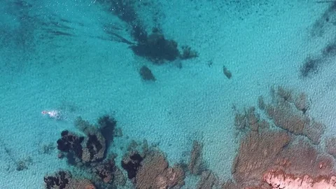 Aerial drone top down view on a swimmer swimming in shallow turquoise sea water Stock Footage 80081110
