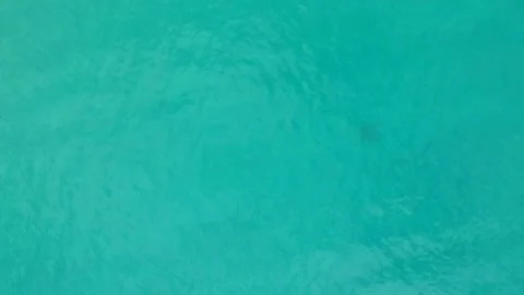 Aerial drone top down view over boat by the shore Stock Footage 134050961