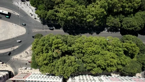 Aerial drone top down view of vehicles and pedestrians at Avenida da Liberdade Stock Footage 207879708