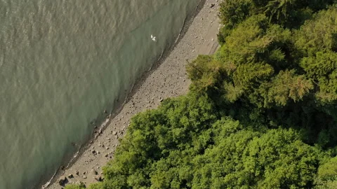 Aerial drone top down view of the  beach on an inlet on the Kenai Peninsula Stock Footage 240166110
