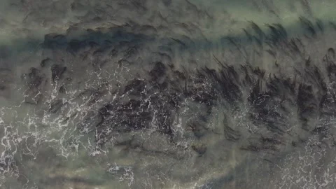 Aerial Drone Top Down view of abstract wave sand and seaweed patterns Stock Footage 242117152