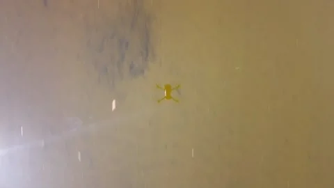 Aerial Drone Top Down View Flying Over Lake With Drone Reflection and Flair 動画素材 267796076