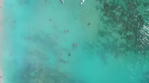 Aerial Drone Top-Down View of People Floating in Ocean Rising to Wide Sea Stock Footage 318368913