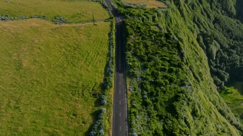 Aerial drone top-down view of a straight asphalt road running along the edge of 動画素材 335705776