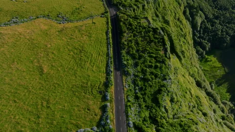 Aerial drone top-down view of a straight asphalt road cutting through lush green 库存影片 335705844