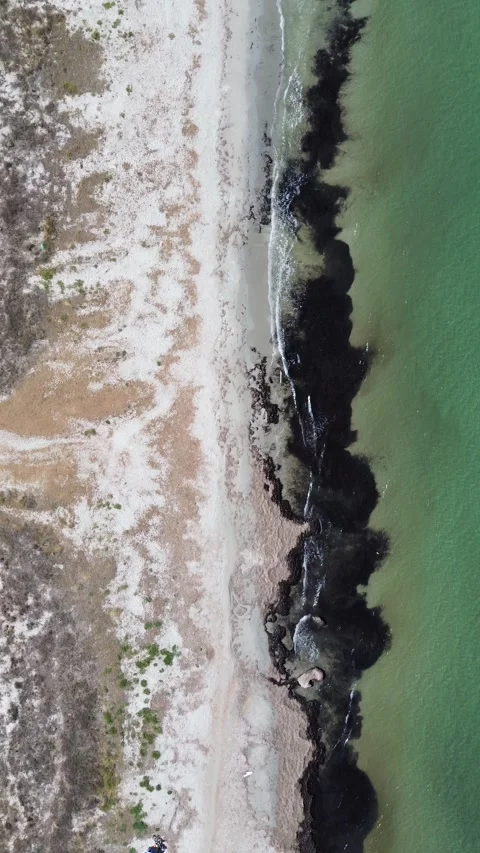 Aerial Drone Top Down View of Playa de la Llana Beach Murcia Spain Coastline Stock-Footage 339900396