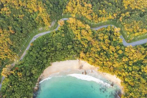 Aerial drone top down view of waves breaking in the sand with road and forest Stock Photos
