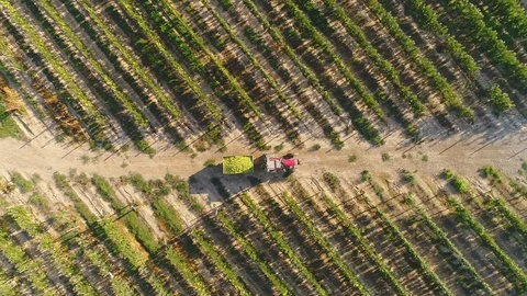 Aerial Drone Top-down zenithal side view following tractor Stock Footage 129999145