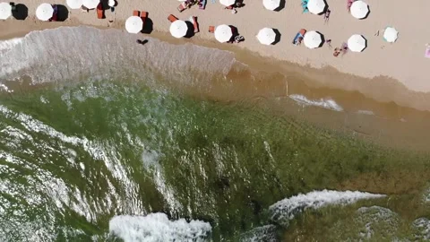 Aerial drone top view of beach and hotels in Bulgaria, near Golden Sands. 動画素材 276180960