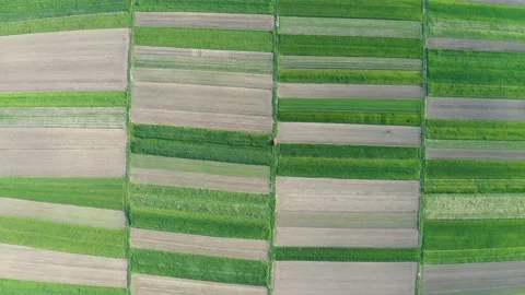 Aerial drone top view flight over green garden fields Stock Footage 130476511