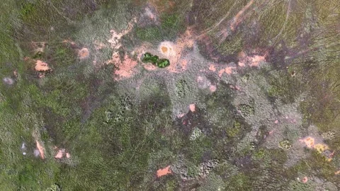 Aerial drone topdown view of Batu Kawan wetland marsh 動画素材 329348277