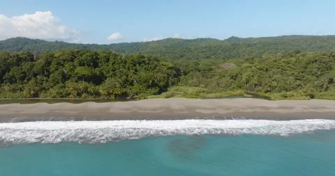 Aerial Drone Tracking Right To Left Over Rainforest Coastline With Palm Trees Stock Footage 277079169