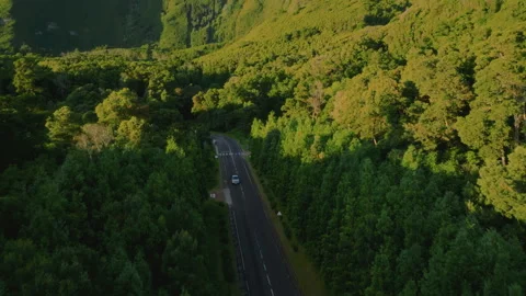 Aerial drone tracking shot of a blue car driving down a scenic road through a 库存影片 335706632