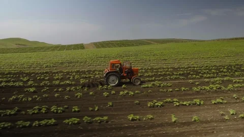 Aerial Drone of Tractor Harvesting. Tractor cultivating soul. Agriculture Stock Footage 245378564