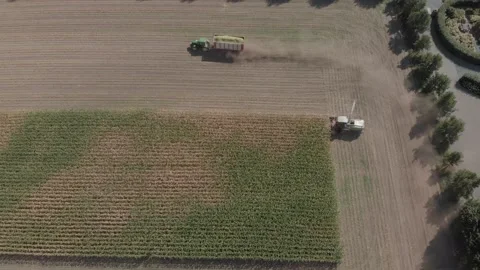 Aerial drone tractor trailer corn harvest agriculture crop plot autumn work Stock Footage 215680386