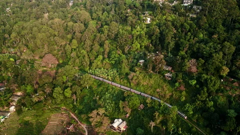 Aerial drone of train gliding through rich plants of Ella, Sri Lanka. Terraced Stock Footage 275117565