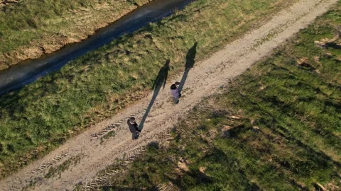 Aerial drone two man flight over view apples trees path field in Tuscany 4k  스톡 동영상 234131349