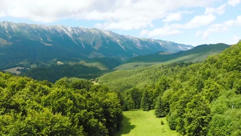 Aerial drone vertical flight showing tree and Piatra Craiului mountain, Romania 库存影片 130853583
