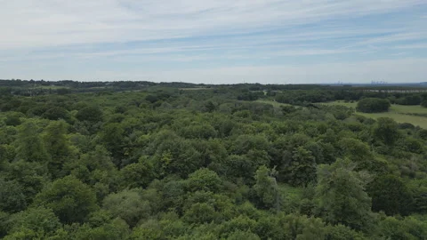 Aerial drone video of a dense forest in the countryside. Stock Footage 280193481