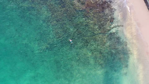 Aerial drone video of Exploring the Hidden Beauty of Kauai: Snorkling in Koloa Stock Footage 303933220