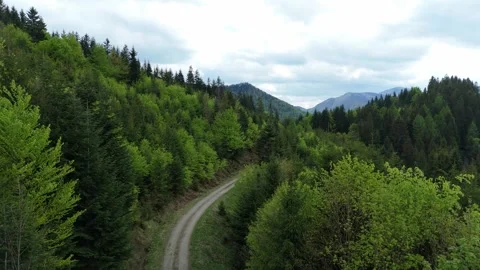 Aerial Drone Video Flying Forward Along Winding Forest Road Through Lush Spring Video stock 336374134