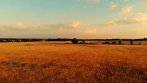 Aerial Drone Video Footage Over Midwest Farmland Before Sunset, 4K HD Stock Footage
