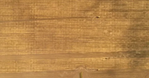Aerial drone video of the harvesting machine in the field. The tractor plowing a Video stock 80748287