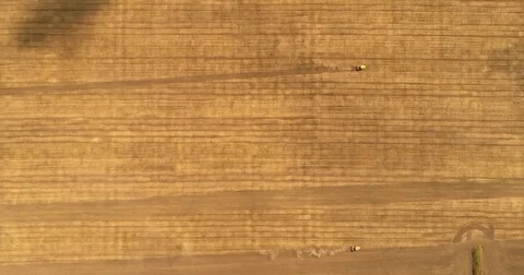 Aerial drone video of the harvesting machine in the field. The tractor plowing a Video stock 80748359