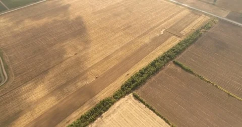 Aerial drone video of the harvesting machine in the field. The tractor plowing a Video stock 80748488