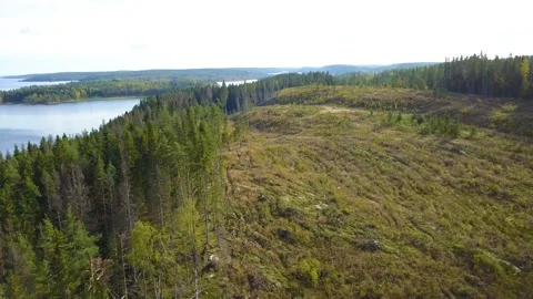 Aerial drone video of hills with trees and lakes on summer day in summer Karelia Stockbeeldmateriaal 220453045