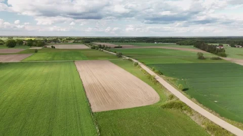 Aerial drone video of patchwork farmland with blooming yellow rapeseed fields Video stock 317244733