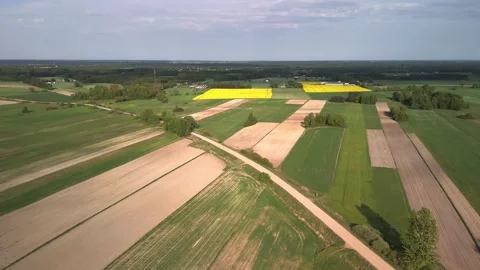 Aerial drone video of patchwork farmland with blooming yellow rapeseed fields Video stock 317249961