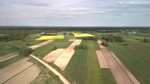Aerial drone video of patchwork farmland with blooming yellow rapeseed fields Video stock 317250300