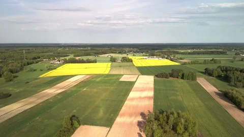 Aerial drone video of patchwork farmland with blooming yellow rapeseed fields Video stock 317259036