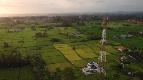 Aerial drone view of 5g telecom tower in a rural landscape with rice fiel Stock Footage 143367949