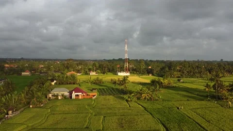 Aerial drone view of 5g telecom tower in a rural landscape with rice fiel Video stock 143367956