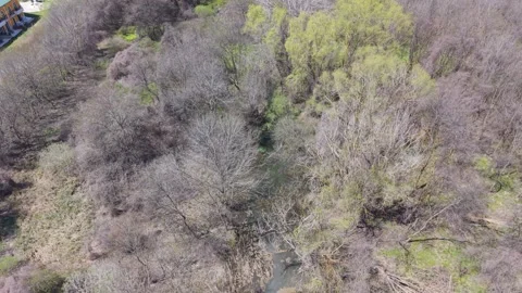 Aerial Drone View Above Dense Spring Forest With Blooming Trees Landscape Stockbeeldmateriaal 332938943