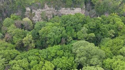 Aerial Drone View Above Dense Green Forest Near Rocky Cliffs Landscape Stock Footage 335067379