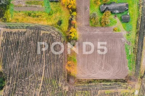 Aerial Drone View From Above Of Field After Harvest, Forest And Farmland In