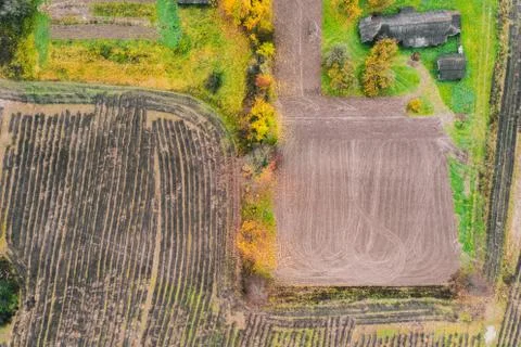Aerial drone view from above of field after harvest, forest and farmland in Stock Photos