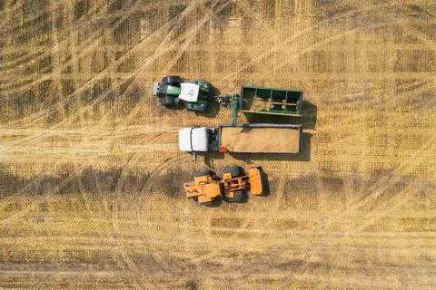Aerial drone view from above: overloading grain from combine harvesters into Stock Photos