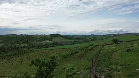 Aerial Drone View Above Rolling Piedmont Vineyard Landscape Video stock 329768136